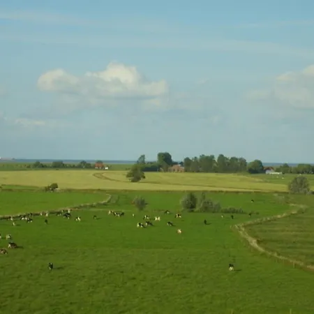 Thiele Apartment Schillig