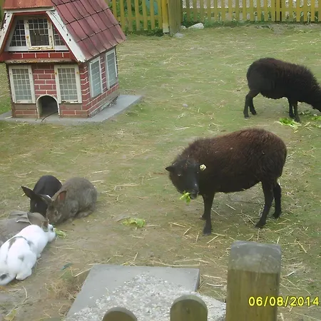 Apartment Thiele Schillig