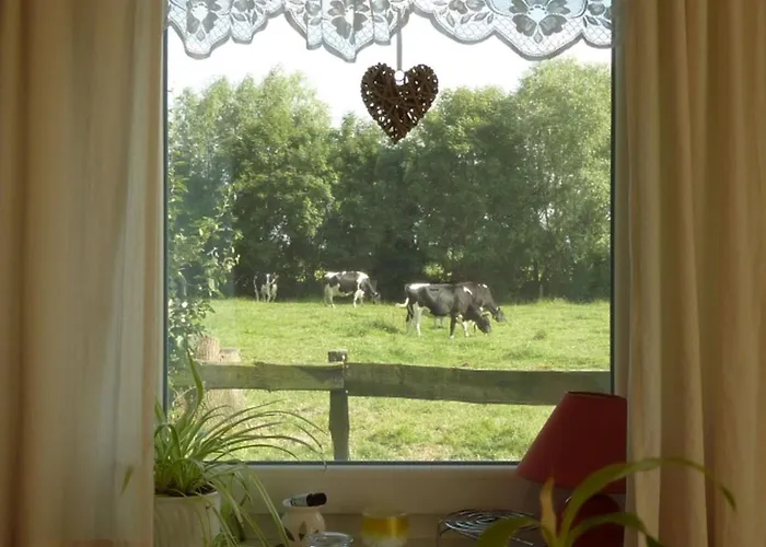 Apartamento Thiele Schillig