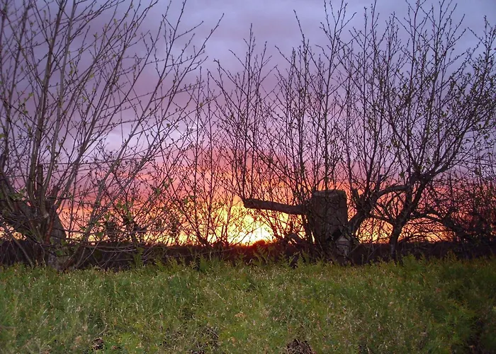 Apartamento Thiele *