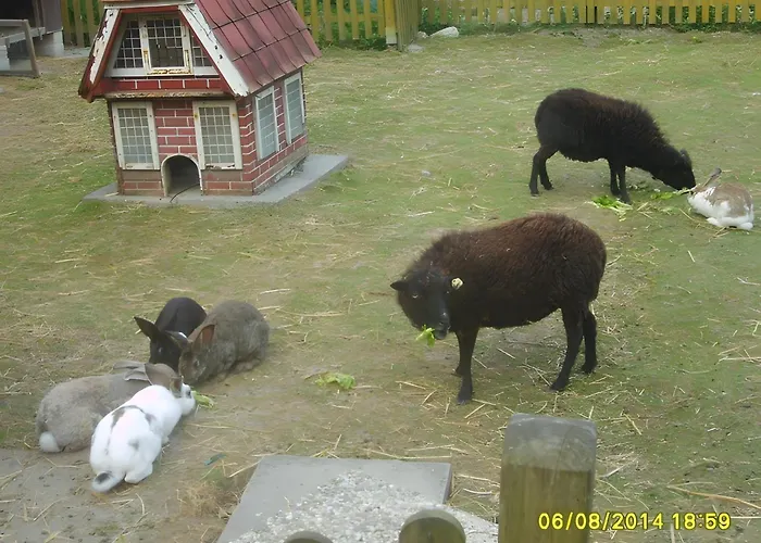 Apartamento Thiele Schillig